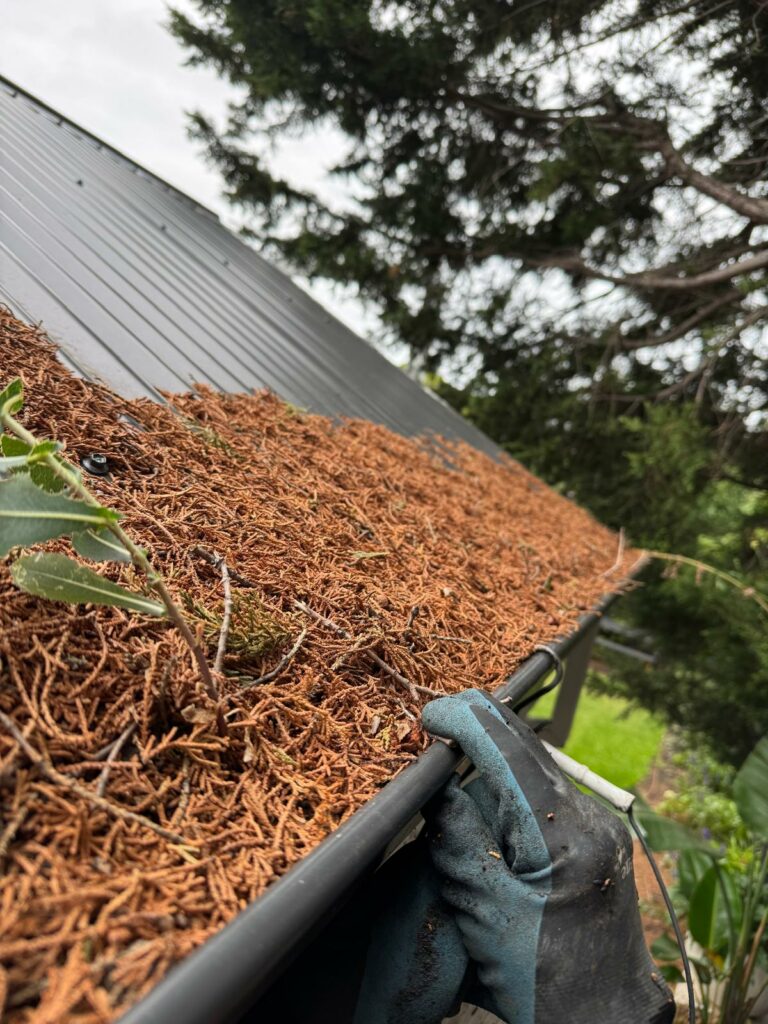 red-hil-gutter-cleaning-before