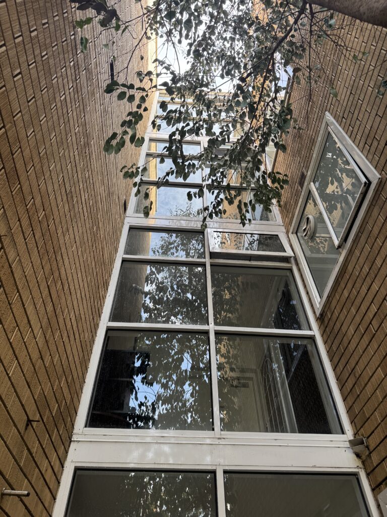 south-yarra-commercial-window-cleaning-after