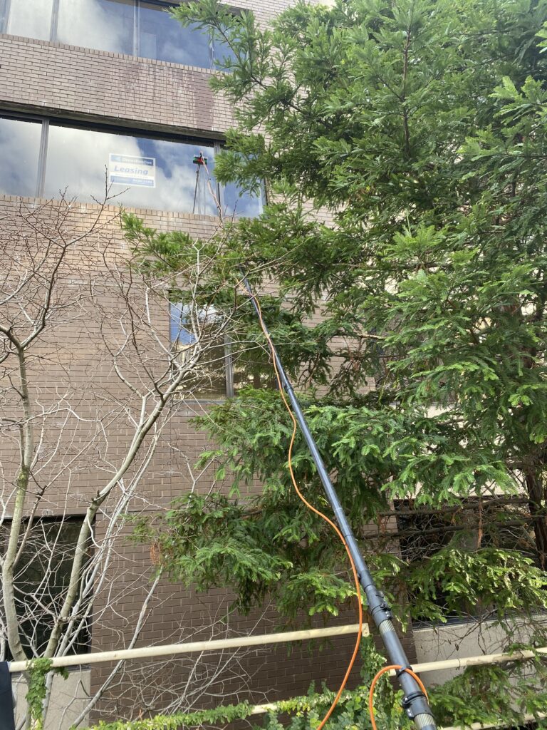 stkilda-commercial-window cleaning
