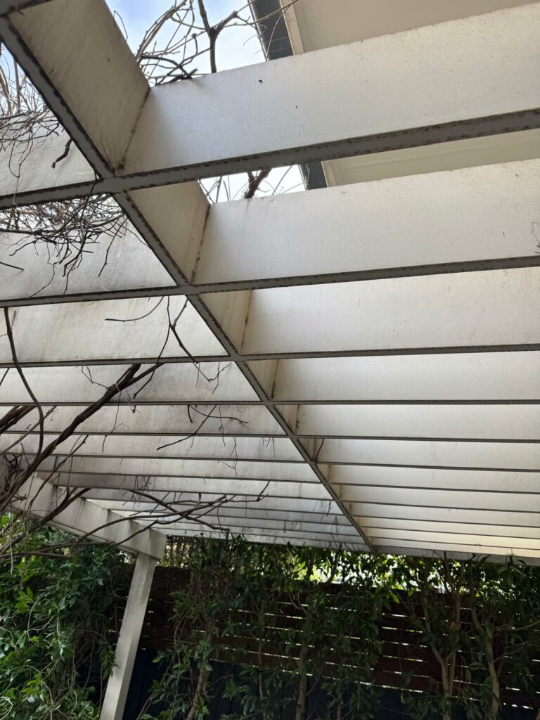 toorak-exterior-wash-down-before