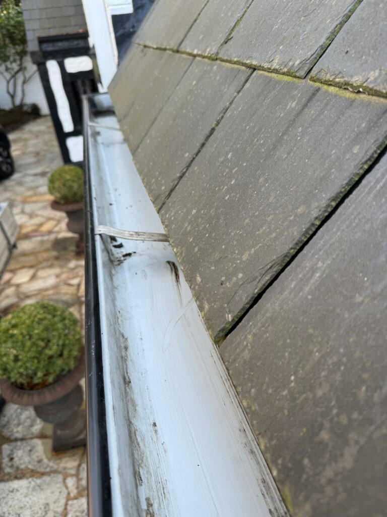 toorak-gutter-cleaning-after