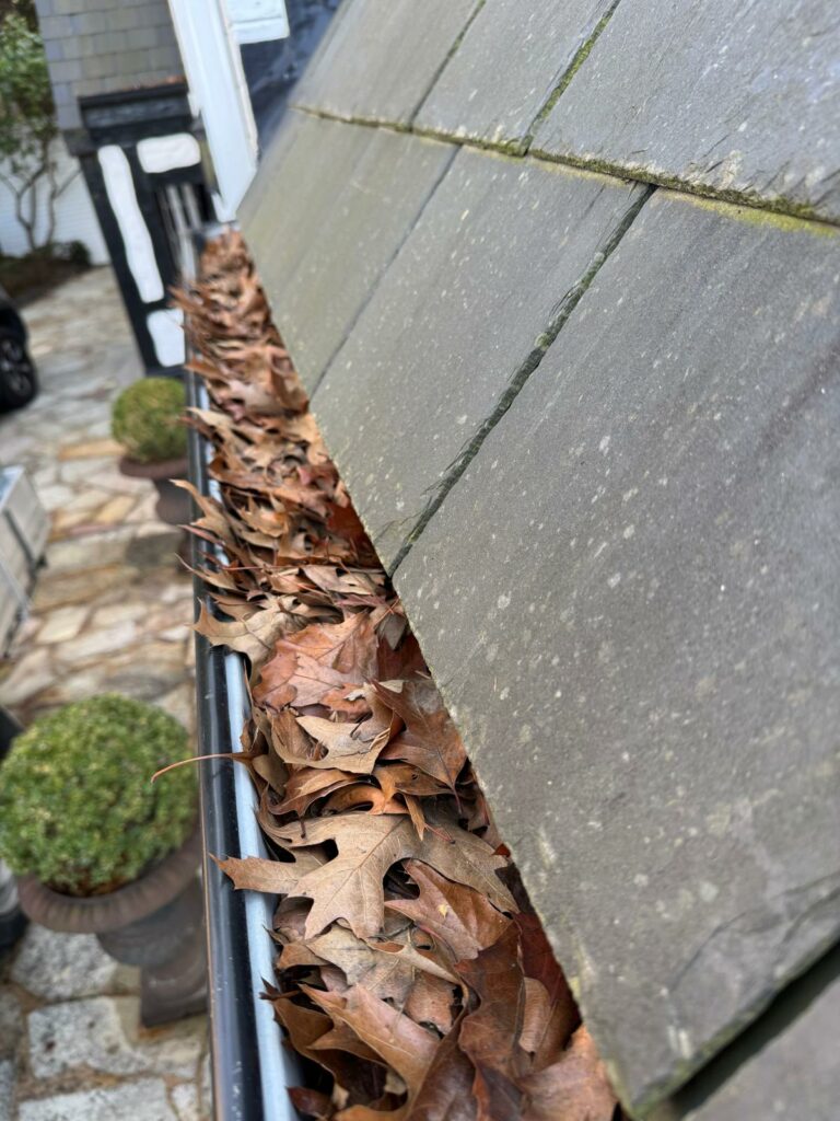 toorak-gutter-cleaning-before