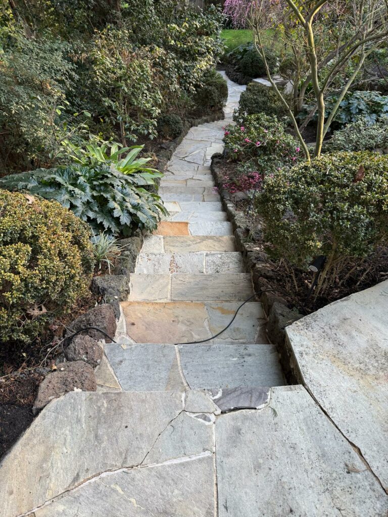 toorak-pressure-clean-path-after