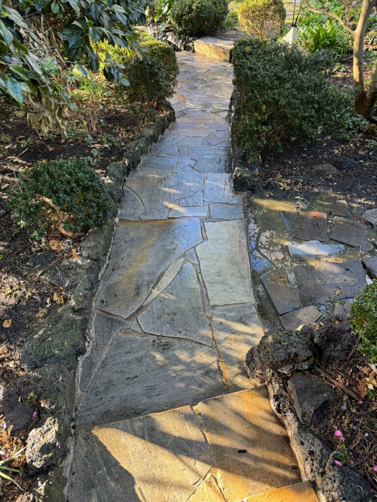toorak-pressure-clean-path-before