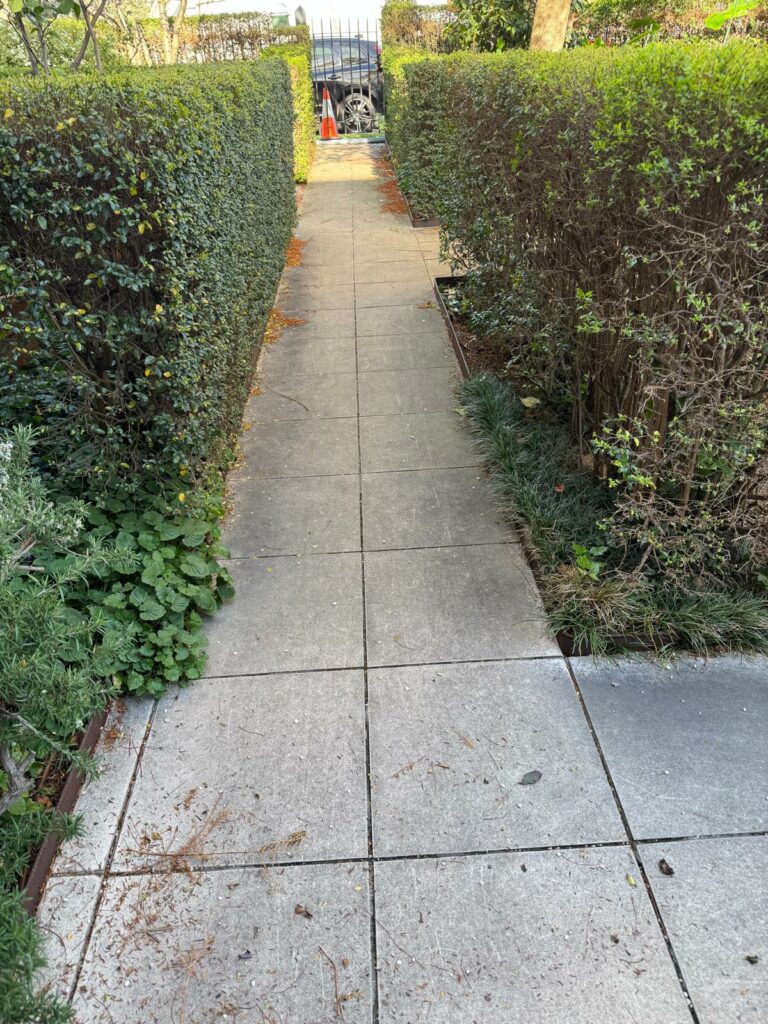 toorak-sandstone-path-pressure-clean-before